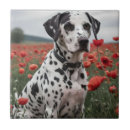 Search for spotty tiles Spots