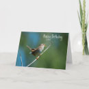 Search for wren cards Bird watching