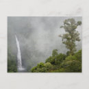Search for cloud forest postcards Costa rica