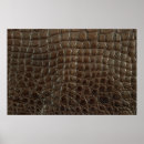 Search for crocodile posters Alligator leather
