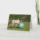 Search for play ball cards Animal