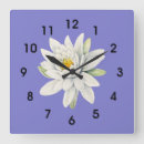 Search for purple clocks Flower