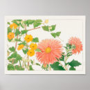 Search for asterism posters Floral