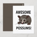 Search for cute opossum cards Australia