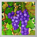 Search for grapevine art Fruit