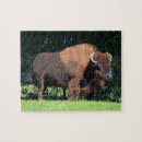 Search for buffalo bison puzzles Animal