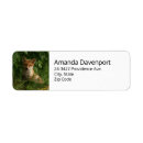 Search for fox return address labels Forest animal