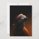 Search for macaw christmas cards Cockatiel