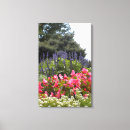 Search for salvia art Flowers
