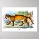 Search for vintage animal illustration posters Africa