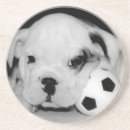 Search for english bulldog coasters Animal