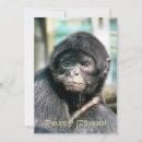 Search for spider invitations Animals