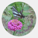 Search for swallowtail stickers Nature