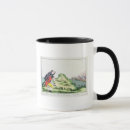 Search for pitts mugs Prime
