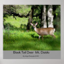 Search for black deer posters Animals