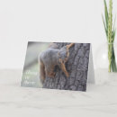 Search for funny squirrel pictures cards Animals