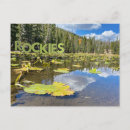 Search for lily pad postcards Lake