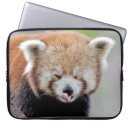 Search for photo laptop cases Cute