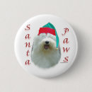 Search for sheepdogs badges Breed