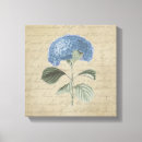 Search for blue hydrangea canvas prints Vintage