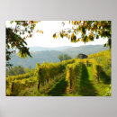 Search for vineyards posters Autumn
