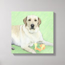 Search for lab canvas prints White