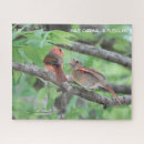 Search for cardinal bird Audubon