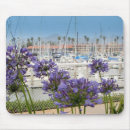 Search for agapanthus mouse mats Floral