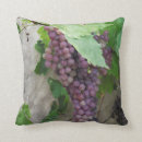 Search for wine lovers cushions Vineyard