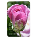 Search for beautiful rose magnets Nature