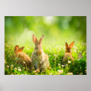 Search for beautiful easter posters Animal