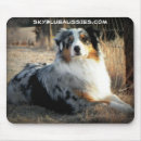 Search for aussie shepherd mouse mats Australian