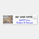 Search for foster homes bumper stickers Rescue