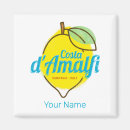 Search for amalfi magnets Souvenir