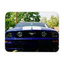 Search for race car magnets Transportation