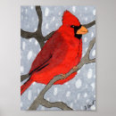 Search for cardinals in winter posters Birds