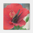 Search for flowers square magnets Butterflies