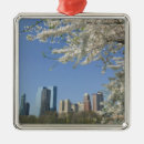 Search for central park christmas tree decorations City