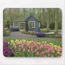 Search for cottage garden mouse mats Flower