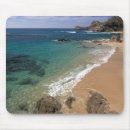 Search for baja mouse mats Ocean