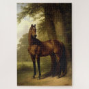 Search for equestrian puzzles Horse
