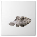 Search for crocodile tiles Nature