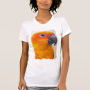 Search for conures womens tshirts Sun
