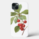 Search for orchard iphone cases Botanical