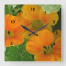 Search for nasturtium Orange