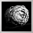 Search for artichoke posters Veggies