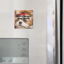 Search for shihtzu magnets Cute