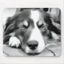 Search for sheep dog mouse mats Collie