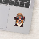 Search for isolation stickers White