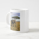 Search for tusk mugs Mammal
